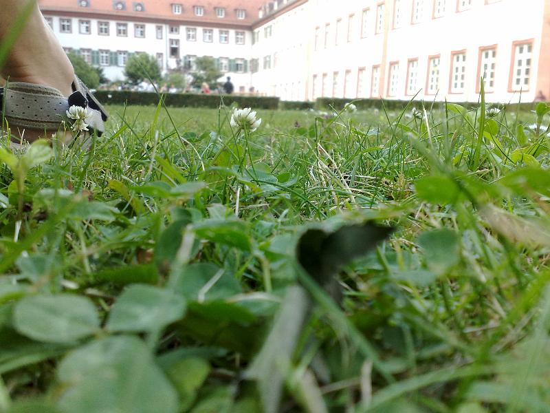 28062009163.jpg