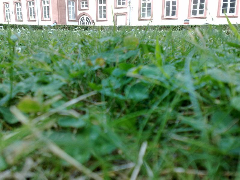 28062009164.jpg